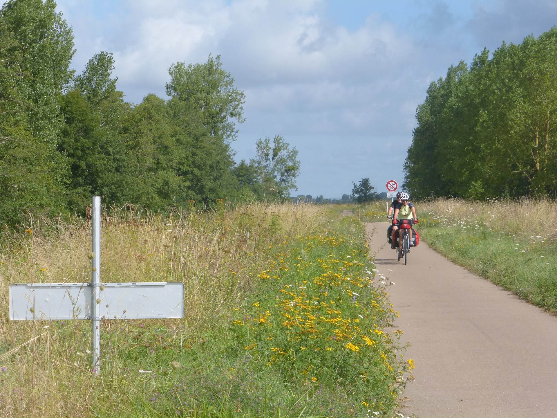 Piste de la Loire à Vélo sur la levée, entre prairie et rangée d'arbres au bord de la Loire